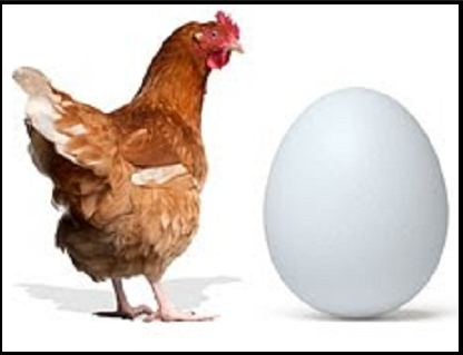 huevo gallina