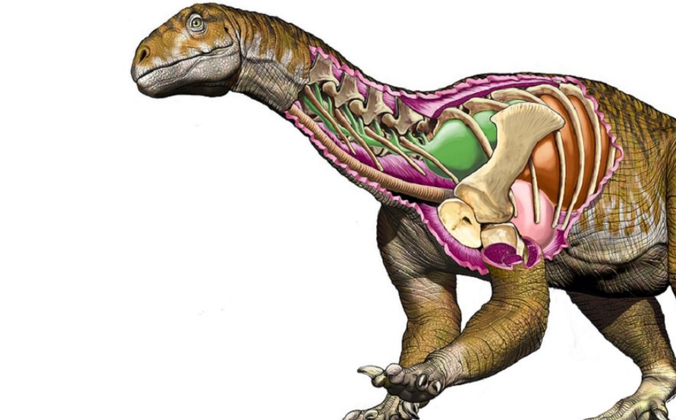 Hallan el primer dinosaurio gigante que existió en la Tierra