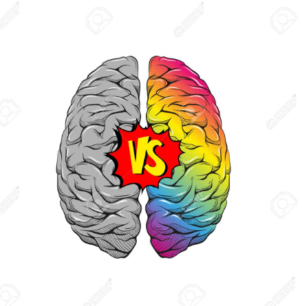 La diferencia entre el lado derecho y el izquierdo del cerebro