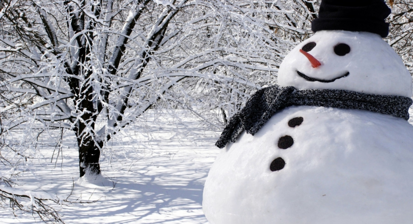 Curiosidades del muñeco de nieve que te sorprenderán